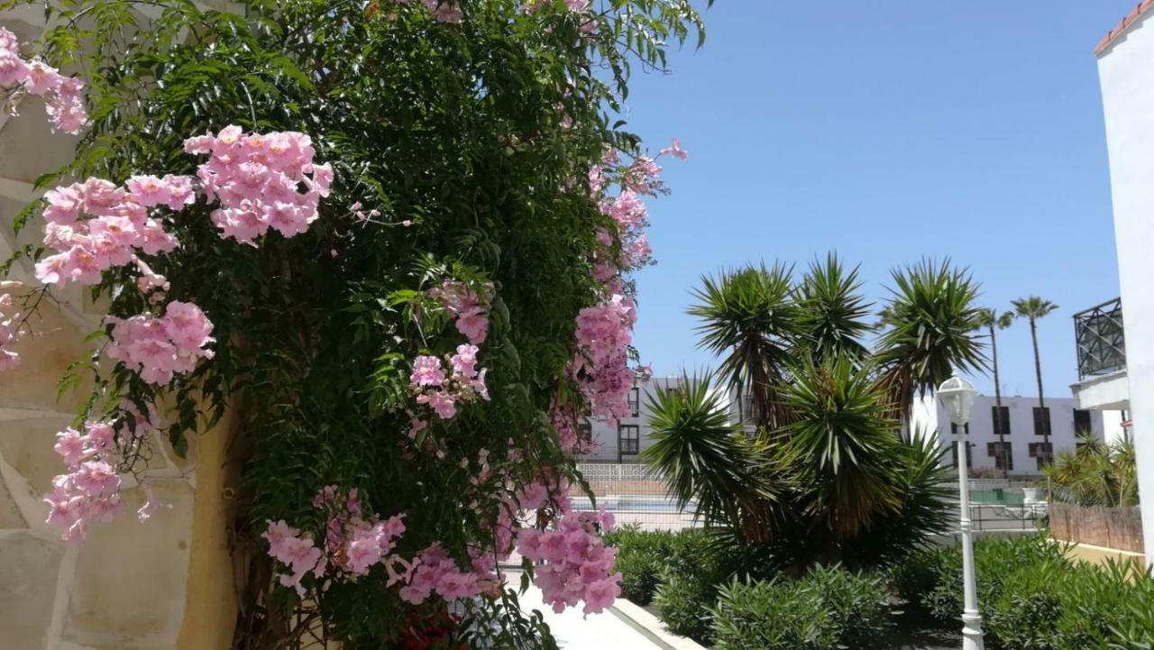 Tenerife Altamar Paradise Playa de las Americas  Ngoại thất bức ảnh